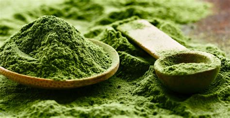 Matcha Powder moisture meter|what is matcha powder.